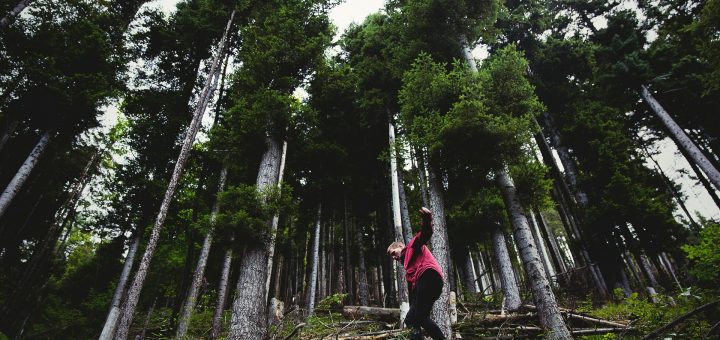 Wandern. Bild von Unsplash.